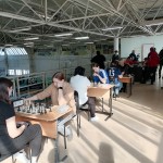 шахматы жен